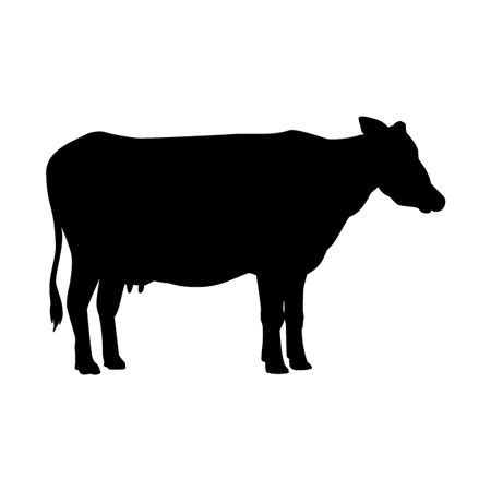 Cow II Iron on Decal